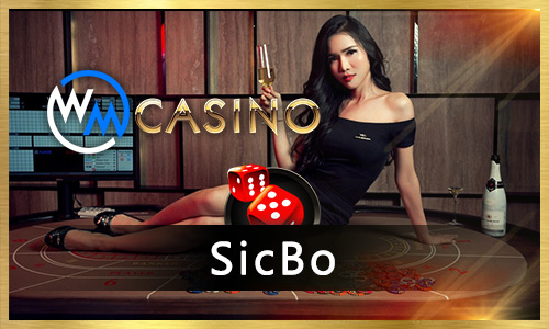 5win3 q bet cassino entretenimento